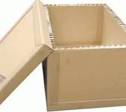 Sản phẩm thung giay to ong 001 — Bao Bì Trường Việt - Công Ty TNHH Bao Bì Trường Việt — MST 3702479163
