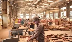 Sản phẩm nganh go hieu 4032 — Phụ Kiện Ngành Gỗ Hoàng Quân Nguyễn - Công Ty TNHH Hoàng Quân Nguyễn — MST 3702500619