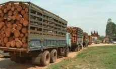 Sản phẩm photo 1 1546943043400136321993 6332 — Phụ Kiện Ngành Gỗ Hoàng Quân Nguyễn - Công Ty TNHH Hoàng Quân Nguyễn — MST 3702500619