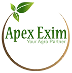 Logo Công ty TNHH Apex Exim
