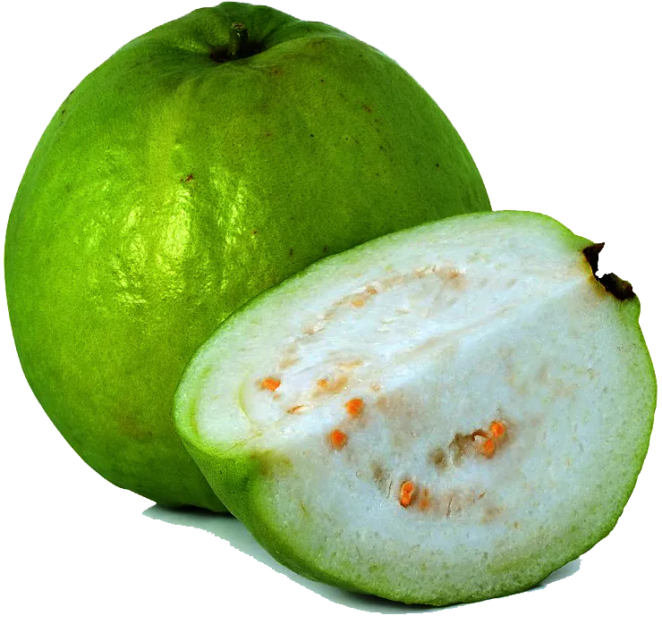 Sản phẩm Guava — Công ty TNHH Apex Exim — MST 3702500961
