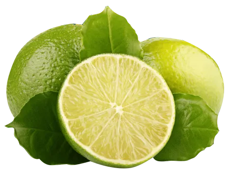 Sản phẩm lemon — Công ty TNHH Apex Exim — MST 3702500961