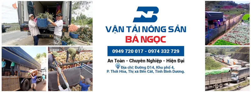 Sản phẩm 130202200 — Vận Tải Bá Ngọc - Công Ty TNHH Thương Mại Dịch Vụ Vận Tải Bá Ngọc — MST 3702512300