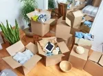 Sản phẩm meo xep do khi van chuyen hang hoa nhanh gon nhe31110 — Vận Tải Bá Ngọc - Công Ty TNHH Thương Mại Dịch Vụ Vận Tải Bá Ngọc — MST 3702512300