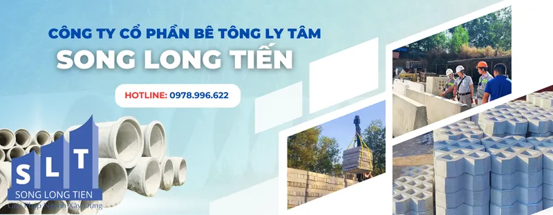 Văn phòng Bê Tông Song Long Tiến - Công Ty TNHH Song Long Tiến #? — MST 3702516249