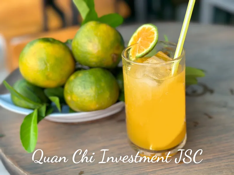Sản phẩm Giai nhiet — Công Ty CP Đầu Tư Quân Chí — MST 3702518493