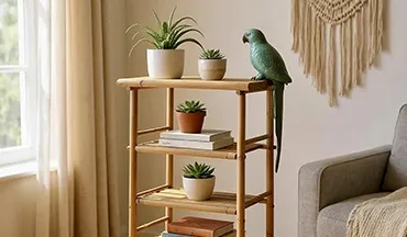Sản phẩm hinh3 — Đồ Mây Tre Phước Thành Phát - Công Ty TNHH Xây Dựng Thương Mại Sản Xuất Phước
Thành Phát — MST 3702518743
