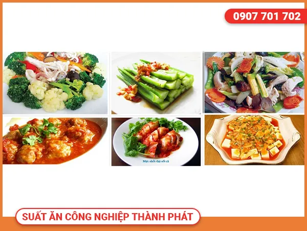 Sản phẩm suat an truong hoc — Suất Ăn Công Nghiệp Thành Phát - Công Ty TNHH Kinh Doanh Thực Phẩm Thành Phát — MST 3702521231
