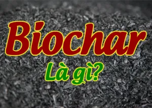 Sản phẩm biochar la gi 300x213410983494381 — Công Ty Trách Nhiệm Hữu Hạn Một Thành Viên Xuất Nhập Khẩu Than Tự Nhiên Và Than
Sinh Học — MST 3702522588