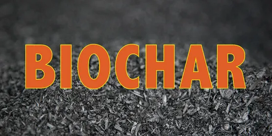 Sản phẩm biochat than sinh hoc (1)693789029704 — Công Ty Trách Nhiệm Hữu Hạn Một Thành Viên Xuất Nhập Khẩu Than Tự Nhiên Và Than
Sinh Học — MST 3702522588