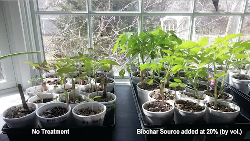 Sản phẩm chargrow biochar source growing trial2403942144090 — Công Ty Trách Nhiệm Hữu Hạn Một Thành Viên Xuất Nhập Khẩu Than Tự Nhiên Và Than
Sinh Học — MST 3702522588