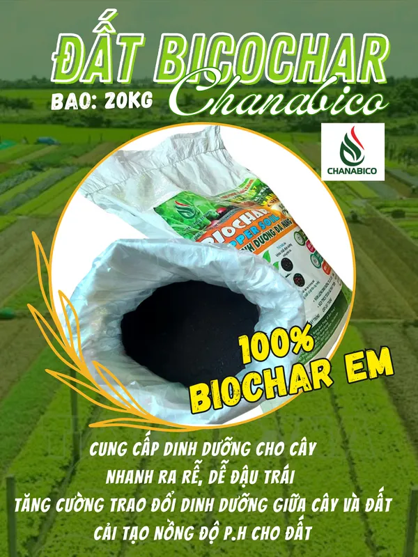Sản phẩm dat huu co chat luong cao_chanabicobiochar_biocharplant_datbiochar_chanabicodathuuco_datdinhduongchatluongcaochanaabico_biochatchanabico_phanbonhuuco+phantrungque_phanchuong_phanxanh_giat723053960341 — Công Ty Trách Nhiệm Hữu Hạn Một Thành Viên Xuất Nhập Khẩu Than Tự Nhiên Và Than
Sinh Học — MST 3702522588