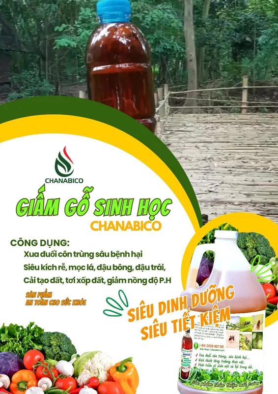 Sản phẩm GIAM GO CHANABICO_giam go sinh hoc giam dinh duong giam da nang giam xua duoi con trung giam diet sau bo phan kich re ra hoa phan dau trai phan bon huu co phan sinh hoc giam nuoi gia suc gia343069549496454196195507 — Công Ty Trách Nhiệm Hữu Hạn Một Thành Viên Xuất Nhập Khẩu Than Tự Nhiên Và Than
Sinh Học — MST 3702522588