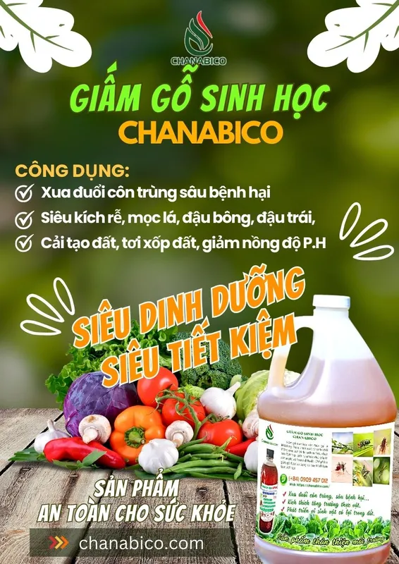 Sản phẩm GIAM GO CHANABICO_giam go sinh hoc_giam chanabico_ che pham sinh hoc giam go tieu diet sau bo xua duoi con trung cai tao dat (7)935873938857 — Công Ty Trách Nhiệm Hữu Hạn Một Thành Viên Xuất Nhập Khẩu Than Tự Nhiên Và Than
Sinh Học — MST 3702522588