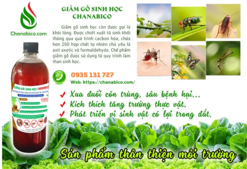 Sản phẩm Screenshot 2024 10 15 135045706398397159 — Công Ty Trách Nhiệm Hữu Hạn Một Thành Viên Xuất Nhập Khẩu Than Tự Nhiên Và Than
Sinh Học — MST 3702522588