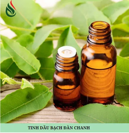 Sản phẩm Screenshot 2024 10 15 164940622570867853 — Công Ty Trách Nhiệm Hữu Hạn Một Thành Viên Xuất Nhập Khẩu Than Tự Nhiên Và Than
Sinh Học — MST 3702522588
