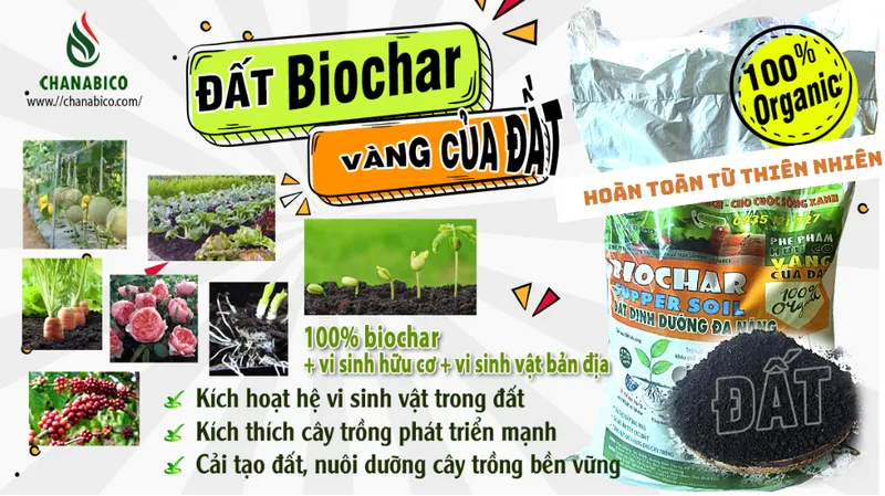 Sản phẩm Screenshot 2024 10 16 145756498111916894 — Công Ty Trách Nhiệm Hữu Hạn Một Thành Viên Xuất Nhập Khẩu Than Tự Nhiên Và Than
Sinh Học — MST 3702522588