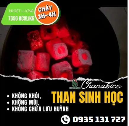 Sản phẩm Screenshot 2024 10 17 143220498890763811 — Công Ty Trách Nhiệm Hữu Hạn Một Thành Viên Xuất Nhập Khẩu Than Tự Nhiên Và Than
Sinh Học — MST 3702522588
