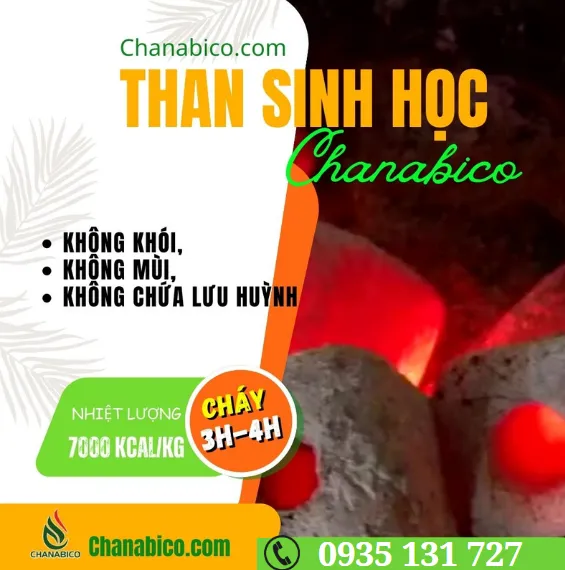 Sản phẩm Screenshot 2024 10 17 144122744296752953 — Công Ty Trách Nhiệm Hữu Hạn Một Thành Viên Xuất Nhập Khẩu Than Tự Nhiên Và Than
Sinh Học — MST 3702522588