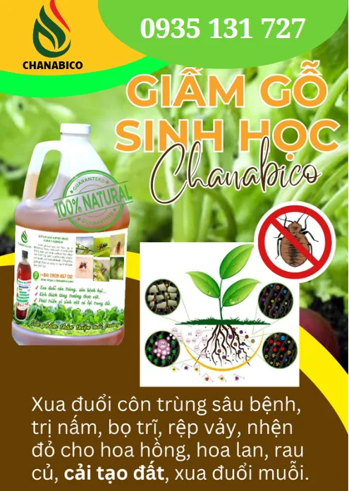 Sản phẩm Screenshot 2024 10 17 151555848025111553 — Công Ty Trách Nhiệm Hữu Hạn Một Thành Viên Xuất Nhập Khẩu Than Tự Nhiên Và Than
Sinh Học — MST 3702522588