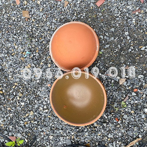 Sản phẩm chen sanh 6 1762769541.jpg — Vật Tư Cao Su Dương Thành Danh - Công Ty TNHH Sản Xuất Thương Mại Vật Tư Nông
Nghiệp Dương Thành Danh — MST 3702526159