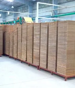 Sản phẩm 489733_Picture17 — Bao Bì Đại Thắng Lợi - Công Ty TNHH Bao Bì Đại Thắng Lợi — MST 3702543161