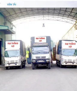 Sản phẩm 528804_1 (2) — Bao Bì Đại Thắng Lợi - Công Ty TNHH Bao Bì Đại Thắng Lợi — MST 3702543161