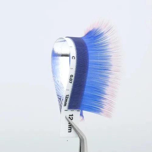 Sản phẩm circle strip two tone_pink royal blue o 500x500 — Lông Mi MoMi - Công Ty TNHH Lông Mi MoMi — MST 3702549438