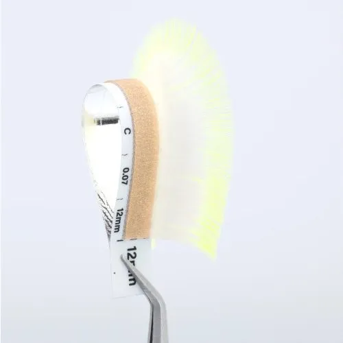 Sản phẩm circle strip two tone_yellow platinum o 500x500 — Lông Mi MoMi - Công Ty TNHH Lông Mi MoMi — MST 3702549438