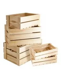 Sản phẩm 788631118035_210x210 — Công Ty TNHH Thương Mại Sản Xuất Pallet Đại Phước Thịnh — MST 3702555209