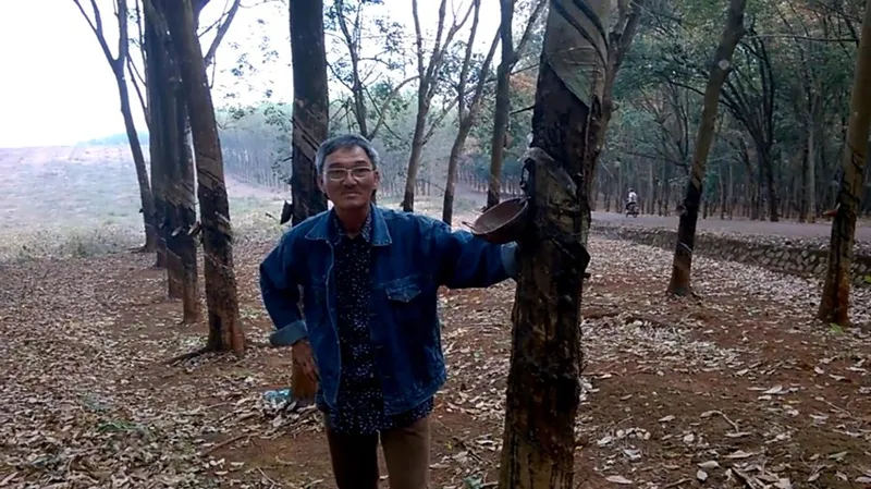 Sản phẩm nhi1 — Cung ứng Lao Động Đại Thiên Phúc - Công Ty TNHH Đầu Tư Thương Mại Dịch Vụ Đại
Thiên Phúc — MST 3702556467