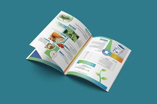 Sản phẩm catalogue la gi — In ấn HPDC - Công Ty Trách Nhiệm Hữu Hạn HPDC — MST 3702570447