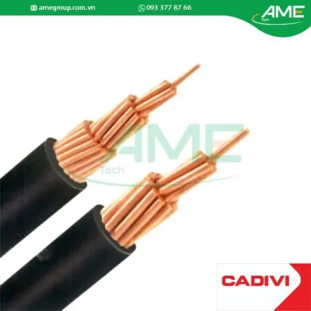 Sản phẩm CV150 0.6_1kV Cap dien CADIVI 450x450 — Công Ty TNHH Ame Tech — MST 3702571151