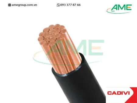Sản phẩm CV25 0.6_1kV Cap dien CADIVI 1 450x338 — Công Ty TNHH Ame Tech — MST 3702571151