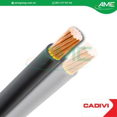Sản phẩm CV25 0.6_1kV Cap dien CADIVI 450x450 — Công Ty TNHH Ame Tech — MST 3702571151