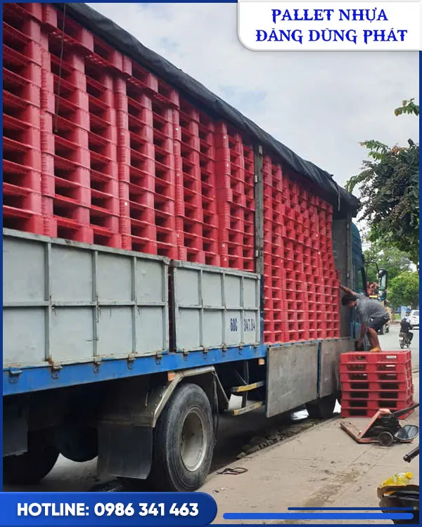 Sản phẩm hact (12) — Pallet Nhựa Đăng Dũng Phát - Công Ty Trách Nhiệm Hữu Hạn Một Thành Viên Đăng
Dũng Phát — MST 3702583894