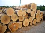 Sản phẩm 2 5757 — Gỗ Nam Bắc - Công Ty TNHH Thương Mại Xuất Nhập Khẩu Gỗ Nam Bắc — MST 3702588074