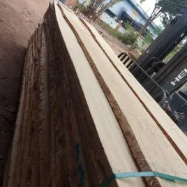 Sản phẩm bao gi ago tan bi xe say 1 4716 — Gỗ Nam Bắc - Công Ty TNHH Thương Mại Xuất Nhập Khẩu Gỗ Nam Bắc — MST 3702588074