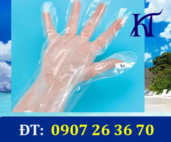 Sản phẩm baotay 17330730522 — Túi Nilon Kim Thành - Công Ty TNHH Bao Bì Kim Thành — MST 3702592793