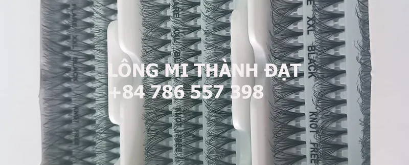 Sản phẩm slide 1 1798 — Lông Mi Thành Đạt - Công Ty TNHH Lông Mi Thành Đạt — MST 3702605731