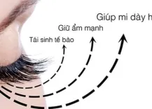 Sản phẩm 1 3 585x329 1489 — Lông Mi Thành Đạt - Công Ty TNHH Lông Mi Thành Đạt — MST 3702605731