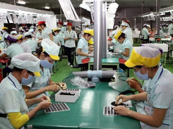 Văn phòng Cung ứng Nhân Lực PSO - Công Ty TNHH Dịch Vụ PSO #5 — MST 3702613210