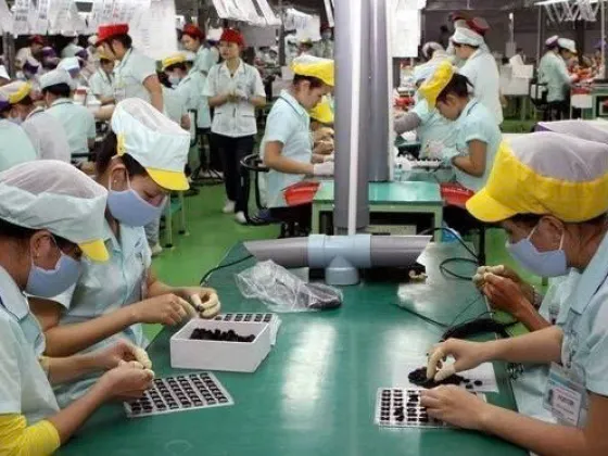 Văn phòng Cung ứng Nhân Lực PSO - Công Ty TNHH Dịch Vụ PSO #2 — MST 3702613210