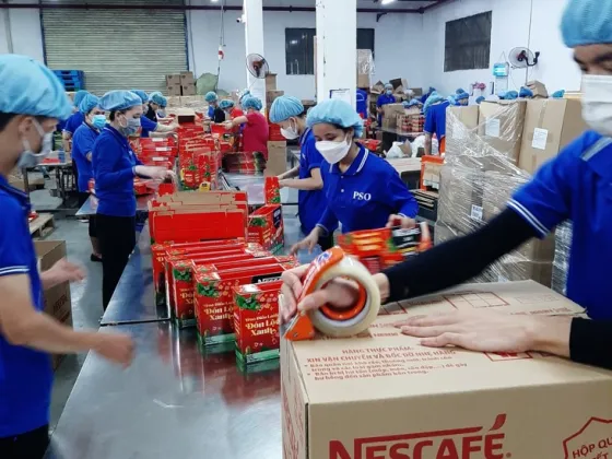 Văn phòng Cung ứng Nhân Lực PSO - Công Ty TNHH Dịch Vụ PSO #9 — MST 3702613210