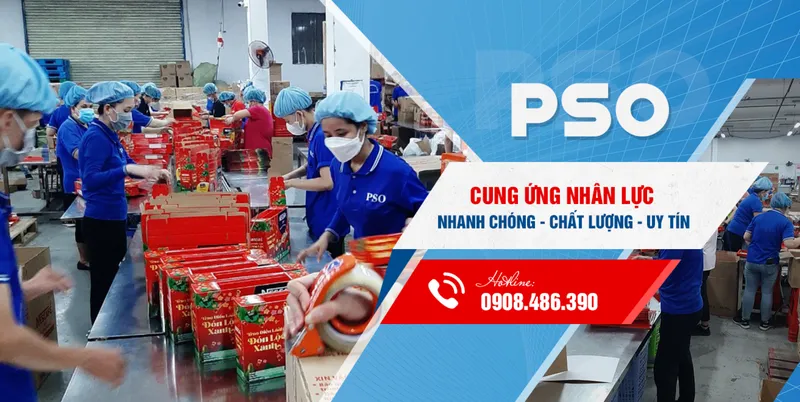 Sản phẩm silde2 6478 1751426152.png — Cung ứng Nhân Lực PSO - Công Ty TNHH Dịch Vụ PSO — MST 3702613210