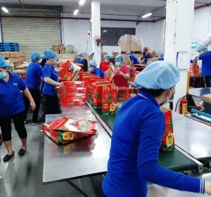 Sản phẩm cung ung nhan luc 24h (4) 7677.jpg — Cung ứng Nhân Lực PSO - Công Ty TNHH Dịch Vụ PSO — MST 3702613210