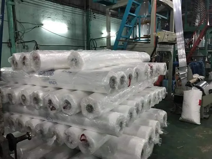 Sản phẩm pe cuộn khổ lớn — Bao Bì Nhựa Trần Tín - Công Ty TNHH Trần Tín — MST 3702626308