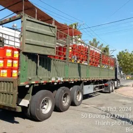 Sản phẩm container 12 6296 — Công Ty TNHH Dịch Vụ Vận Tải Linh Quân — MST 3702636881