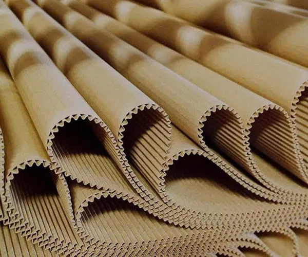 Sản phẩm Giay cuon carton 2 lop (3) — Bao Bì Carton Trường Dư - Công Ty TNHH Thương Mại Và Gia Công Sản Xuất Trường Dư — MST 3702663035