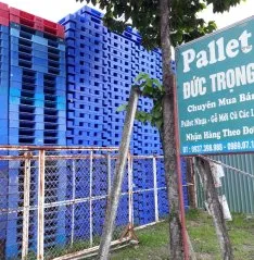 Sản phẩm z2541391177295_73820e2f59fc94fe9fc165785006f81e 6719 — Cơ Sở Pallet Đức Trọng — MST 3702666484